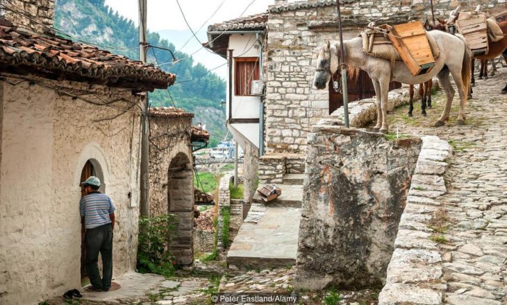 Çfarë mund të mësojë bota nga mikëpritja shqiptare