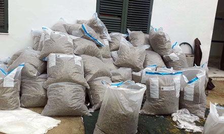 Konfiskohen 75 kg kanabis në Vlorë