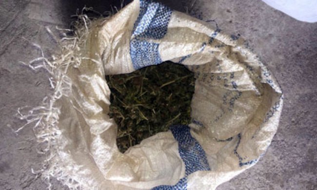 Sekuestrohen 12 kg kanabis
