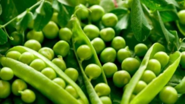 Konsumoni bizele për të pastruar kolesterolin e keq në gjak
