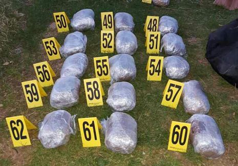 Policia konfiskon 66 kg marihuanë