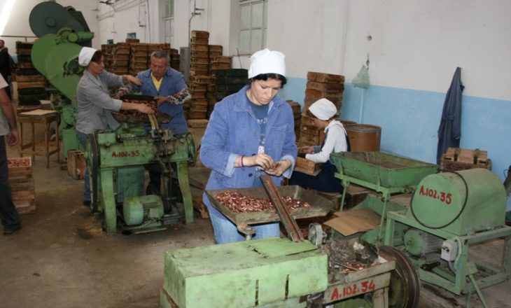 Çdo ditë dorëzohen nga 20 armë dhe municione në Shqipëri