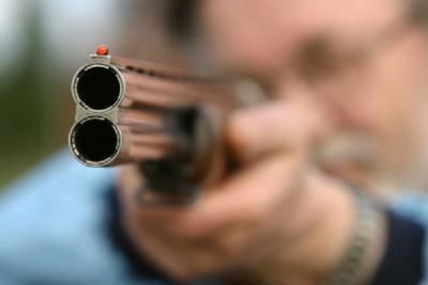 E gjuan me pushkë gjuetie, por shpëton për një fije