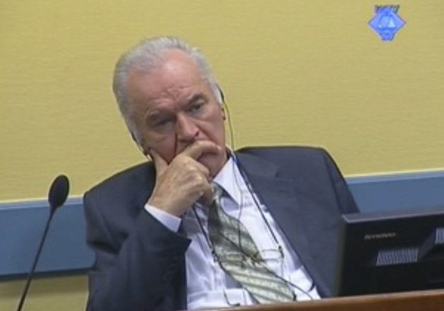 Reagimi i Veselit për dënimin e Mlladiqit
