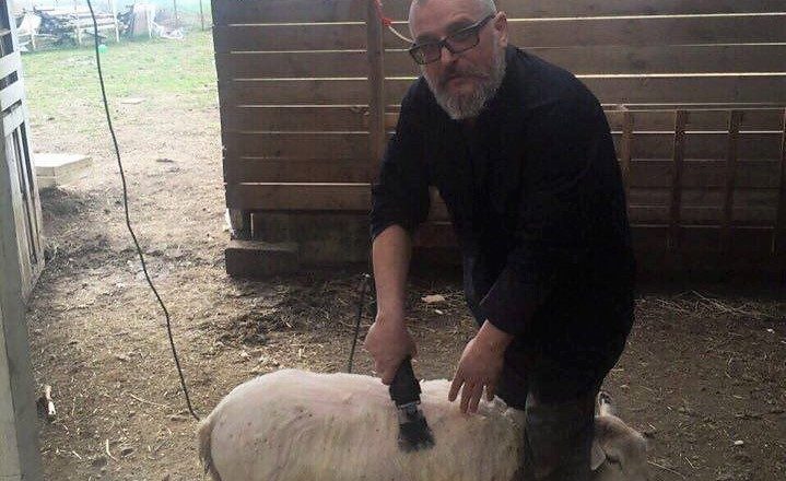 Shteti e la t’i ik burgut – kthimi në Kosovë i mundëson vazhdimin e bizneseve